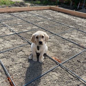 Meet your Posher, Jacob